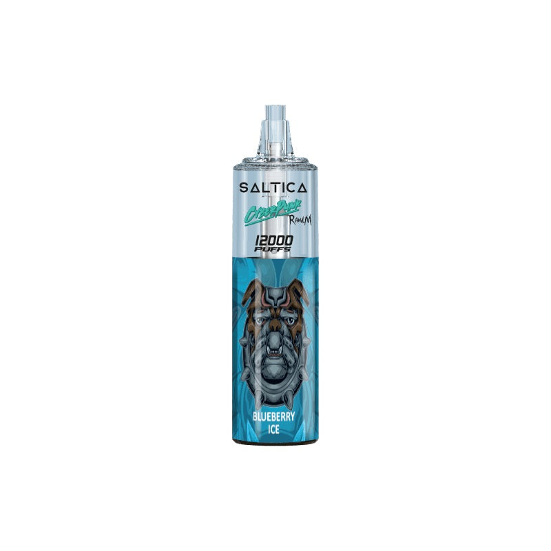 Saltica Cyberpunk 12000 Blueberry Ice Disposable Vape Bar